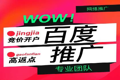 某企业选择sem代运营公司的决策过程及效果展示